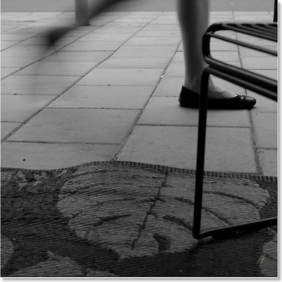 Pasted Graphic 1